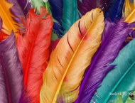 Tại sao khi in ấn dùng hệ màu CMYK mà không dùng hệ màu RGB?